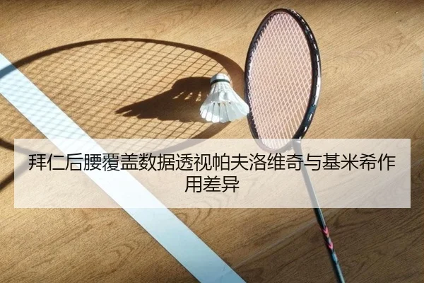 拜仁后腰覆盖数据透视帕夫洛维奇与基米希作用差异